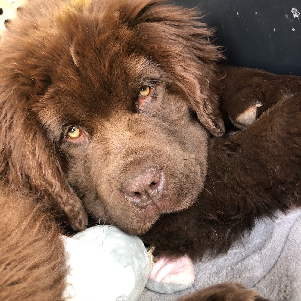 Meet your Posher, Jada